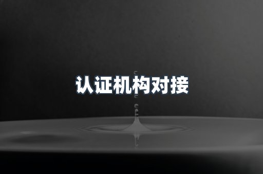 认证机构对接