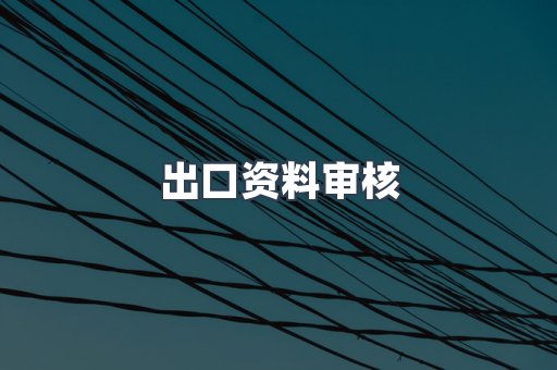 出口资料审核
