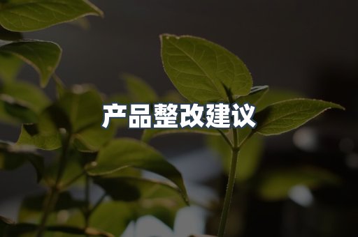产品整改建议